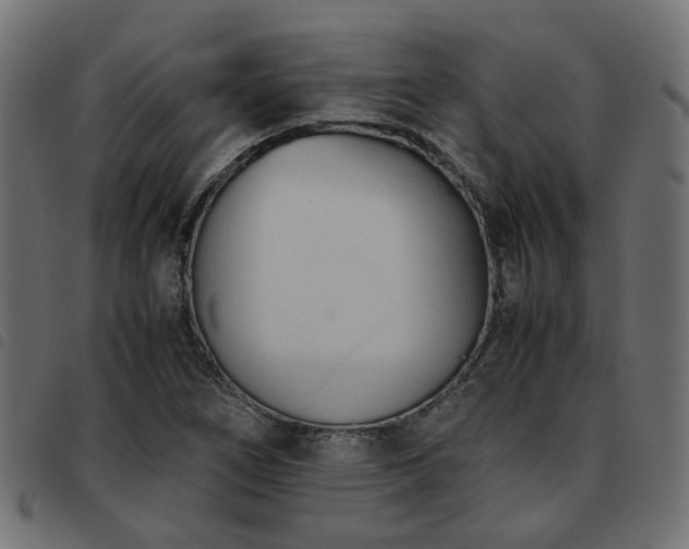 X0000093591266200710151157