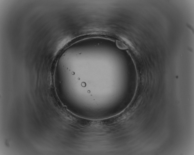 X0000093591267200710151157