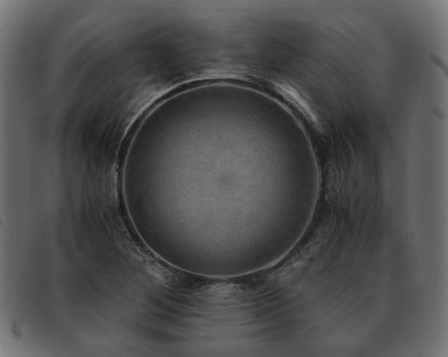 X0000093591268200710151157