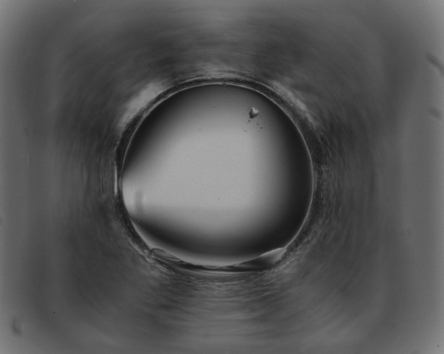 X0000093591269200710151157