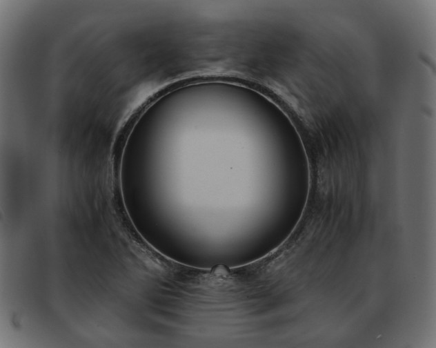 X0000093591270200710151157