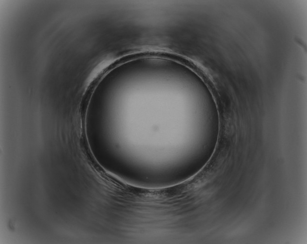 X0000093591271200710151157