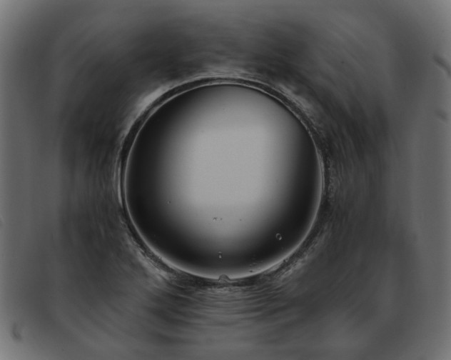 X0000093591272200710151157