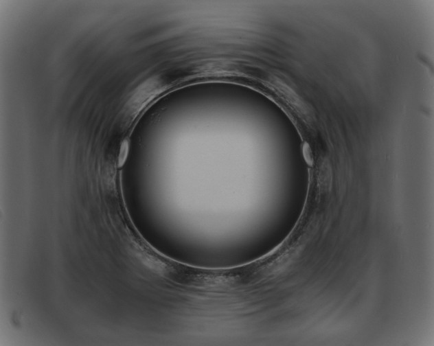 X0000093591273200710151157