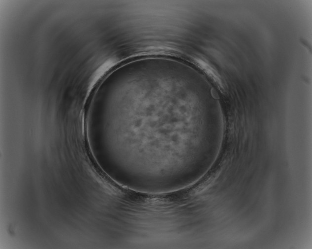 X0000093591275200710151157