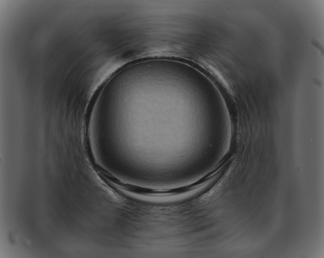 X0000093591277200710151157