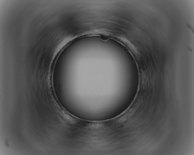 X0000093591278200710151157