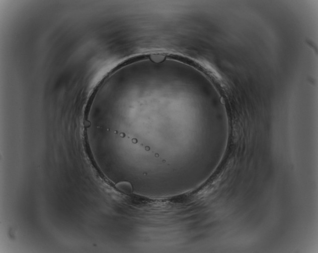 X0000093591279200710151157