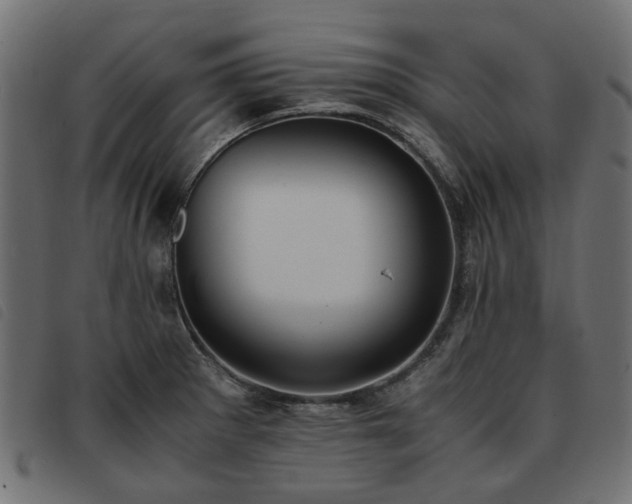 X0000093591281200710151157
