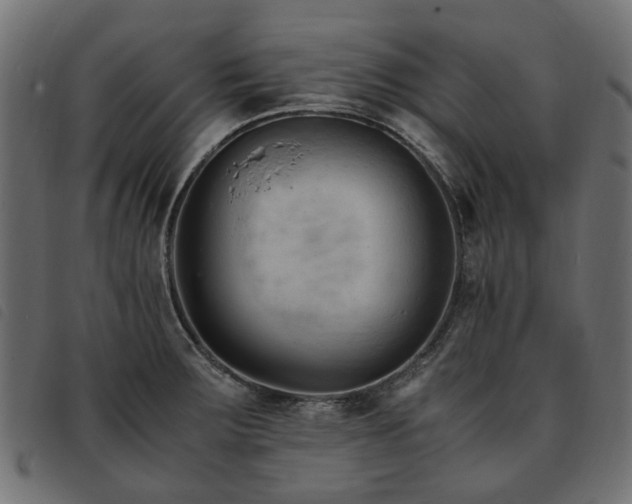 X0000093591283200710151157