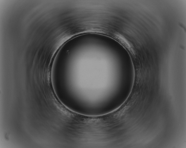 X0000093591284200710151157