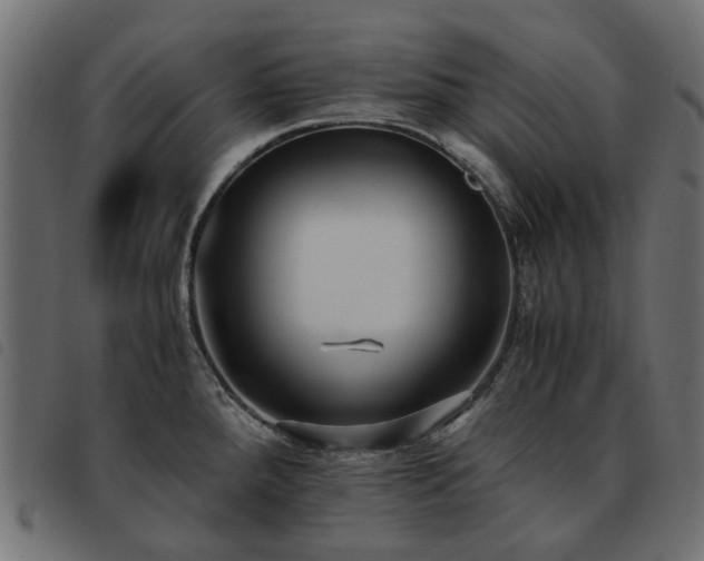 X0000093591288200710151157
