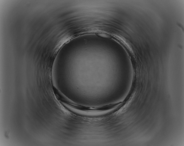 X0000093591289200710151157