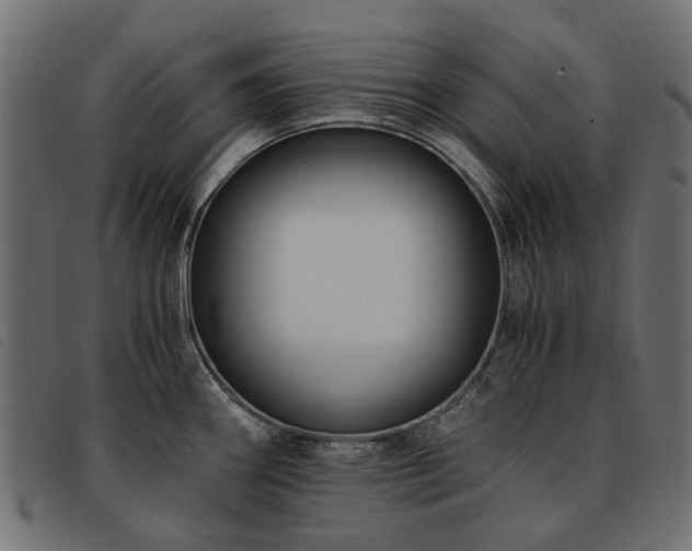 X0000093591290200710151157