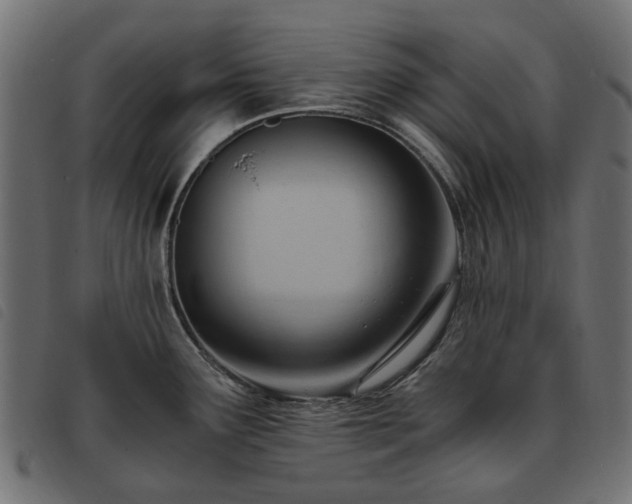 X0000093591291200710151157