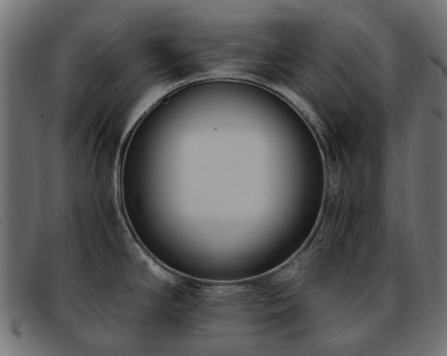 X0000093591294200710151156