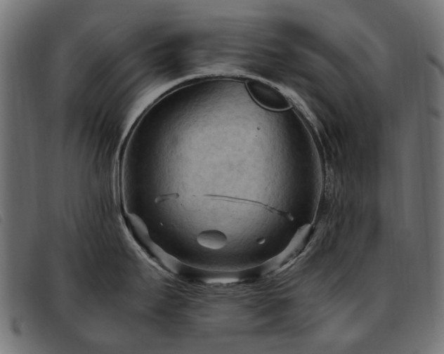 X0000093591295200710151156