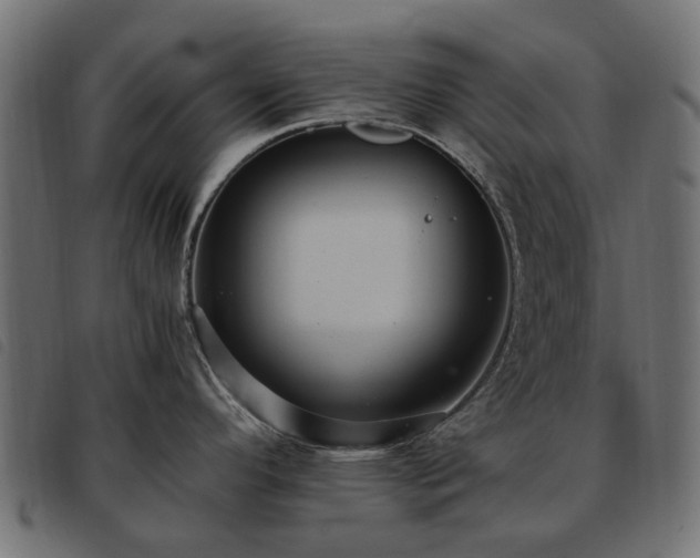 X0000093591296200710151156