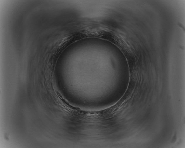 X0000093591297200710151156