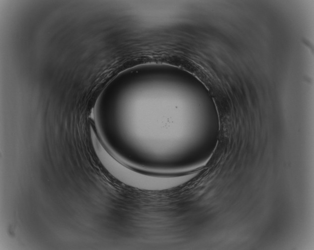 X0000093591298200710151156