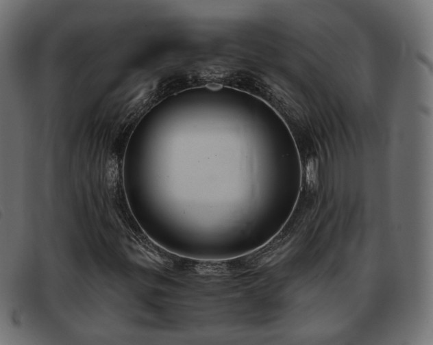 X0000093591299200710151156