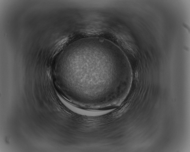 X0000093591300200710151156