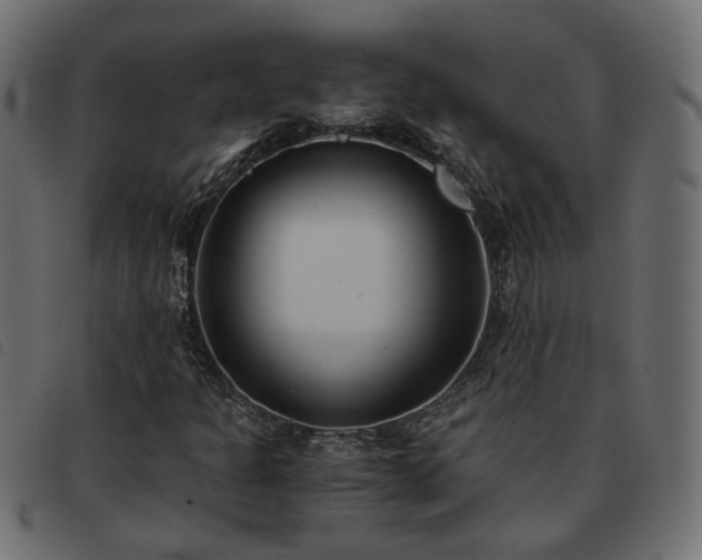 X0000093591301200710151156