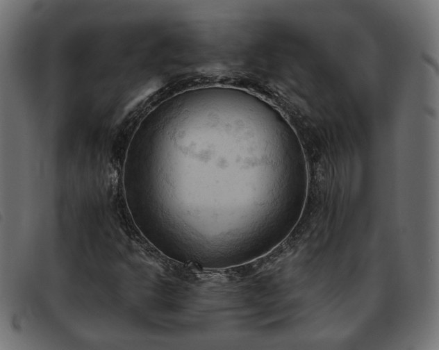 X0000093591302200710151156