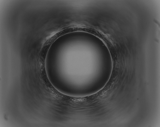 X0000093591303200710151156