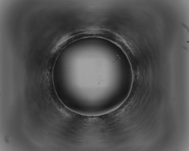 X0000093591304200710151156