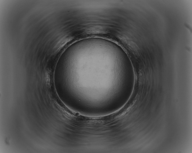 X0000093591305200710151156