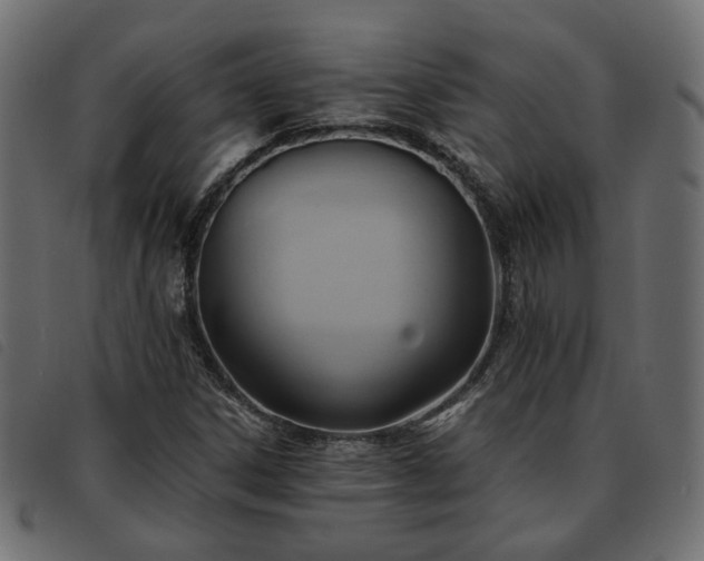 X0000093591306200710151156
