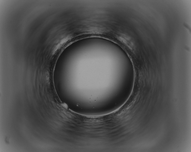 X0000093591307200710151156