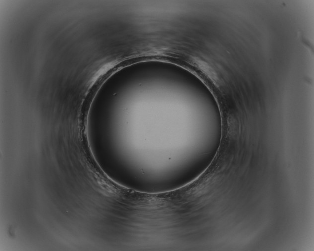 X0000093591308200710151156