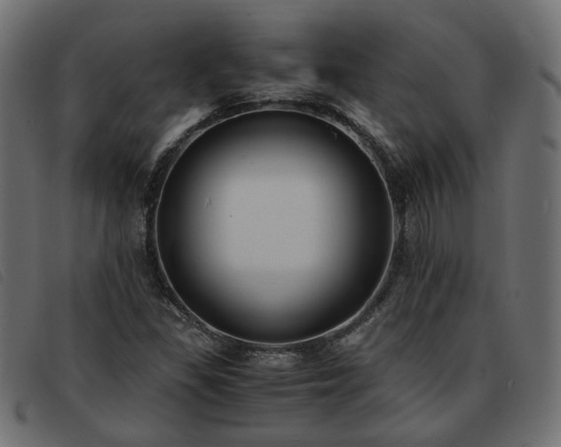 X0000093591309200710151156