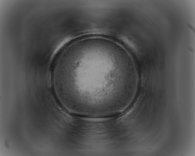 X0000093591310200710151156