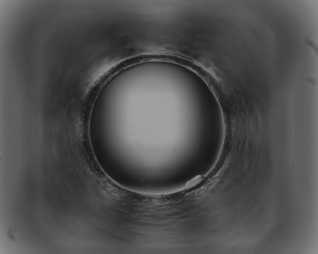 X0000093591311200710151156