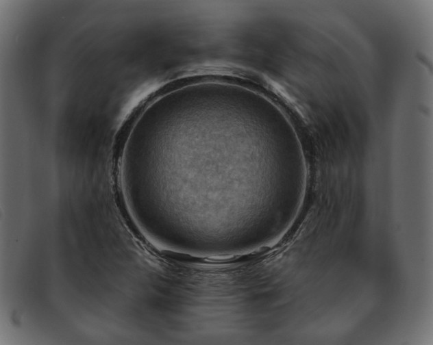 X0000093591312200710151156