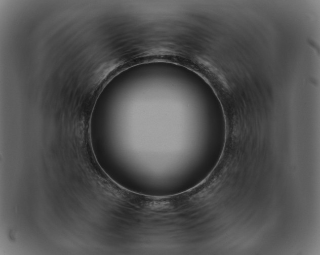 X0000093591313200710151156