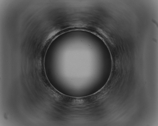 X0000093591315200710151156