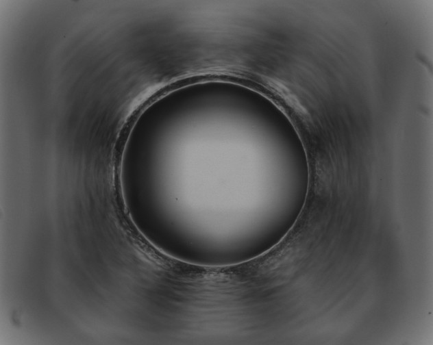 X0000093591316200710151156