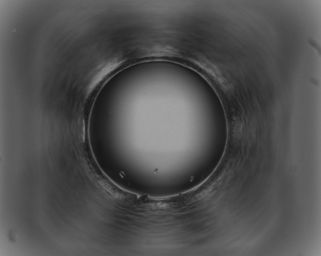 X0000093591317200710151156