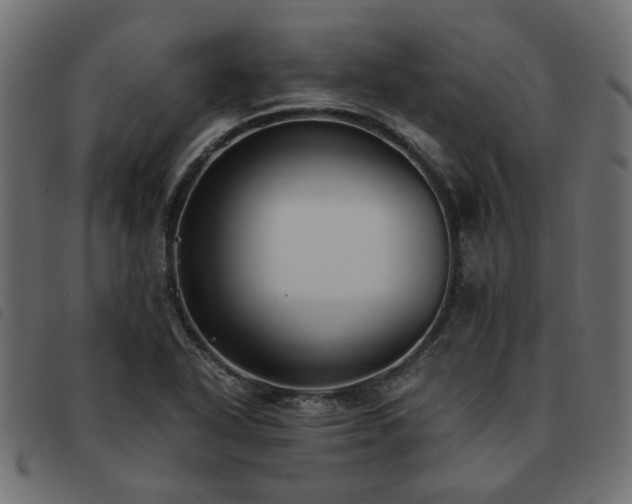 X0000093591318200710151156