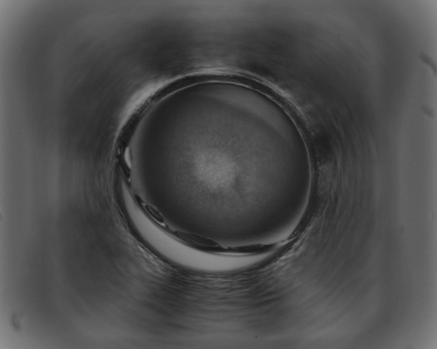 X0000093591319200710151156