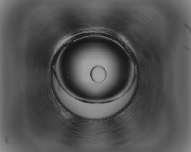 X0000093591320200710151156