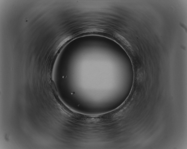 X0000093591321200710151156