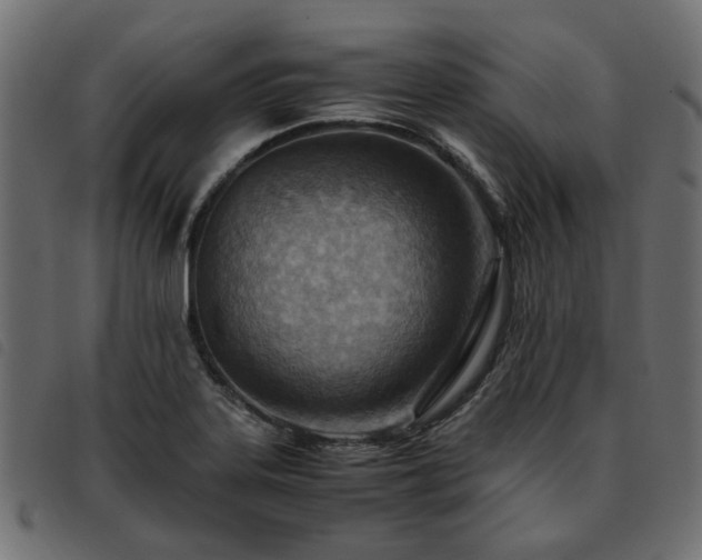 X0000093591323200710151156