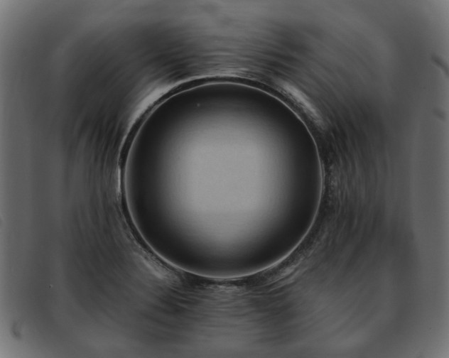 X0000093591324200710151156