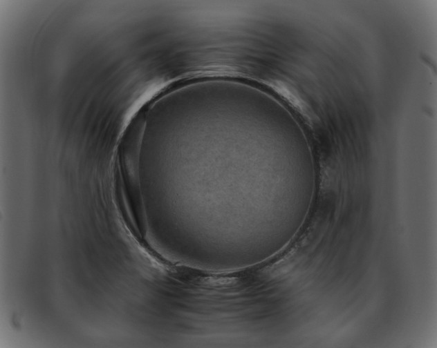 X0000093591325200710151156