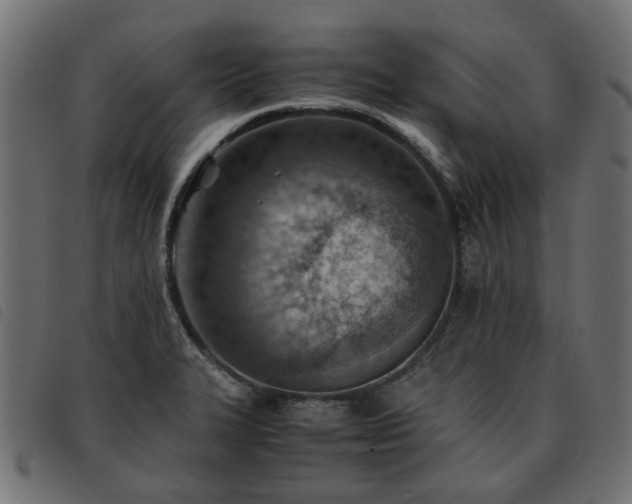 X0000093591327200710151156